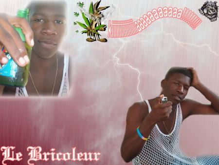 Le bricoleur